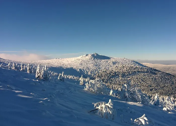 Bed & Breakfast Lesna Polana 3*