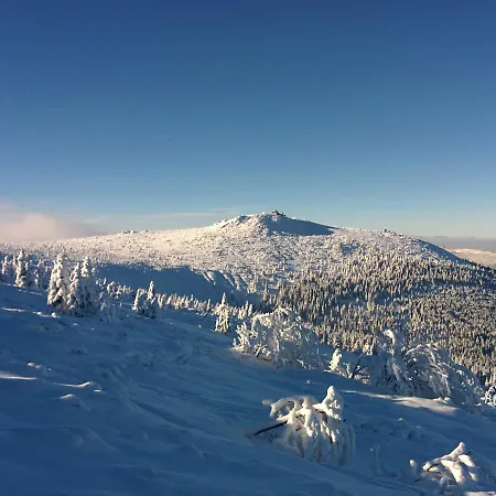 Bed and Breakfast Lesna Polana 3*